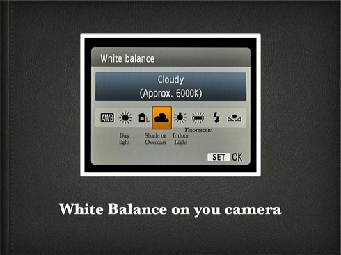 How to White Balance.006.jpg How to White Balance.006.jpg